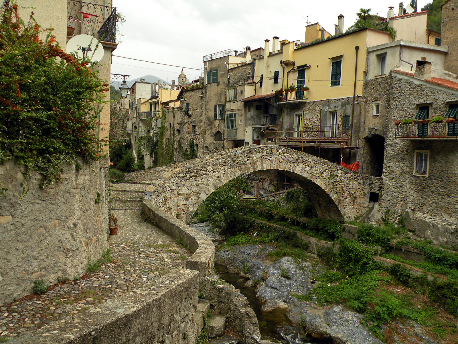 ズッカレッロ、イタリア