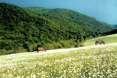 コーカサスの修道院めぐり3