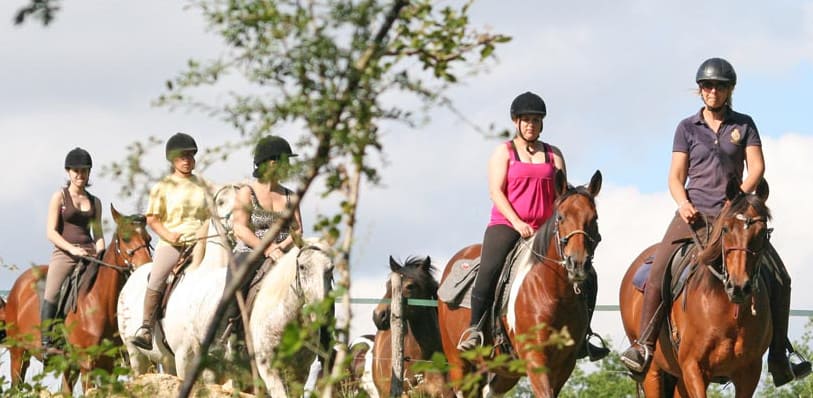 ジロンド乗馬