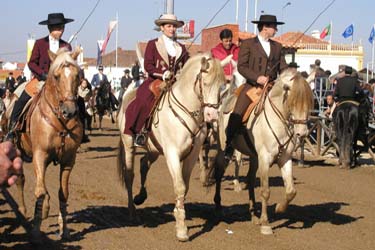 ポルトガル ゴレガン馬の祭典2