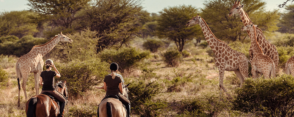 ナミビア乗馬ツアー