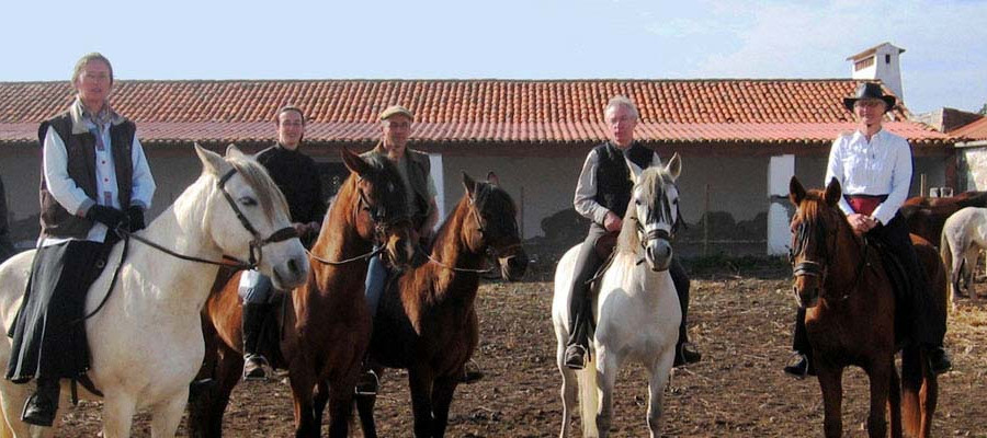 ポルトガル ゴレガン馬の祭典1