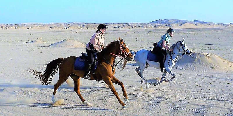 エジプト乗馬ツアー