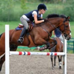 ドニゴール乗馬センター