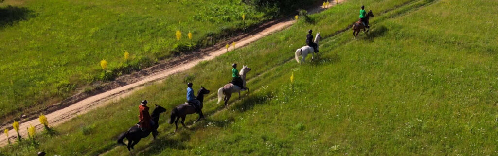 ロドピ山脈乗馬