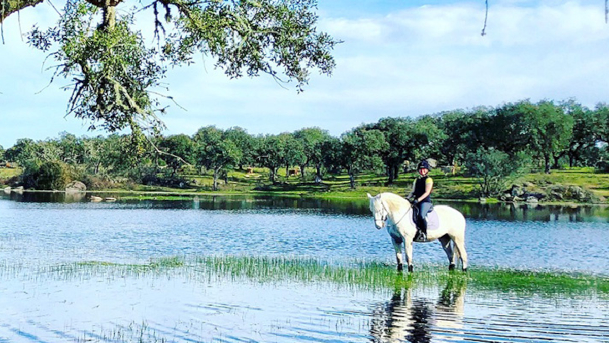 ポルトガル乗馬ツアー